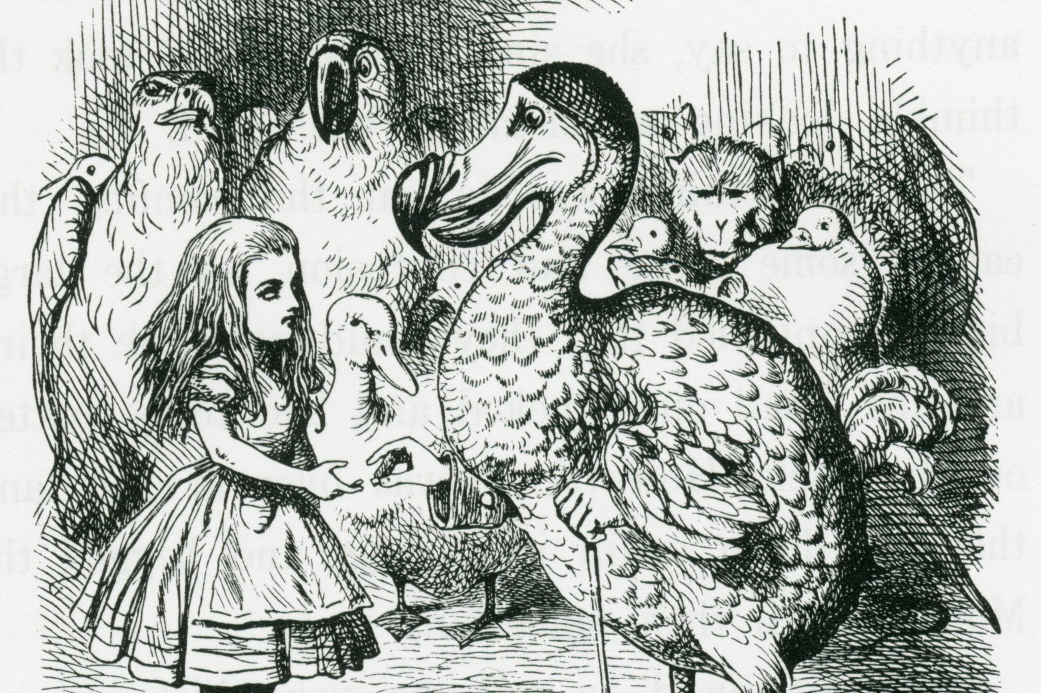 Alice and the Dodo meet in Wonderland. Illustration by John Tenniel